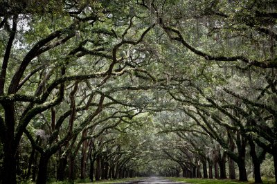 Image 8401 - Professional Cemeteries photography by Bobby Shull