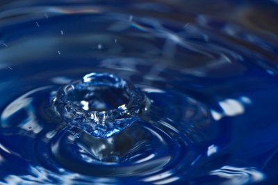 Image 1889 - Professional Macro photography by Bobby Shull