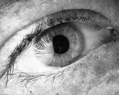 Image 5328 - Professional Macro photography by Bobby Shull