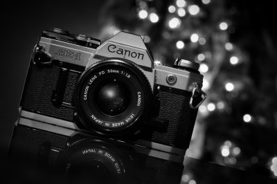 Image 0637 - Professional photography by Bobby Shull