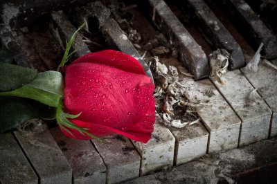 Image 4577 - Professional photography by Bobby Shull