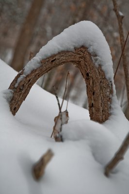 Image 9429 - Professional photography by Bobby Shull