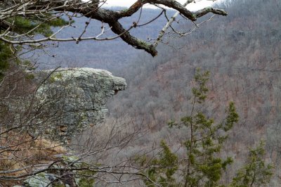 Image 4020 - Professional Scapes photography by Bobby Shull