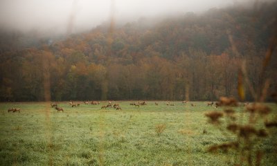 Image 6612 - Professional Scapes photography by Bobby Shull