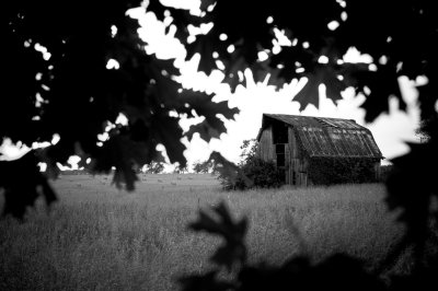 Image 9675 - Professional Scapes photography by Bobby Shull