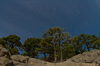 Image 0351 - Professional Starscapes photography by Bobby Shull