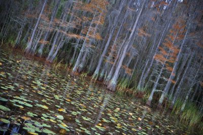 Image 8923 - Professional Waterscapes photography by Bobby Shull