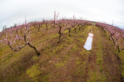 Mg 4866 - Professional Weddings photography by Bobby Shull